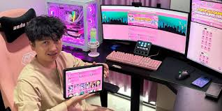 Gamer Profesional